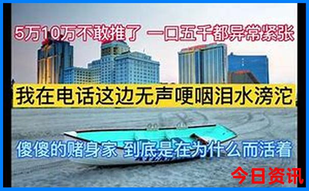848484内部资料查询